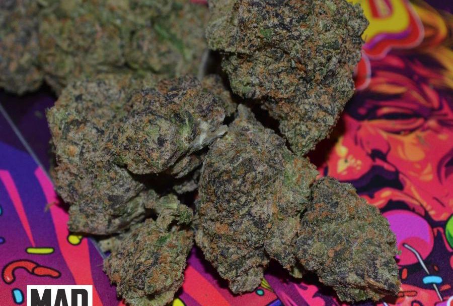 26da16c5-2335-4050-827c-b036f07a7a6d