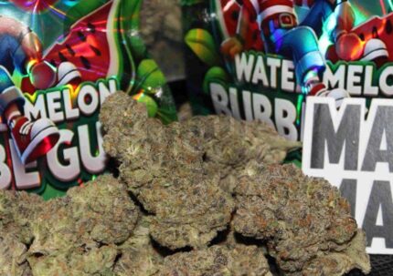 Watermelon Bubblegum