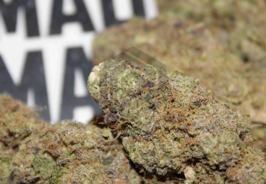 fa87cc00-24fb-4ab6-bca8-901d357a511c